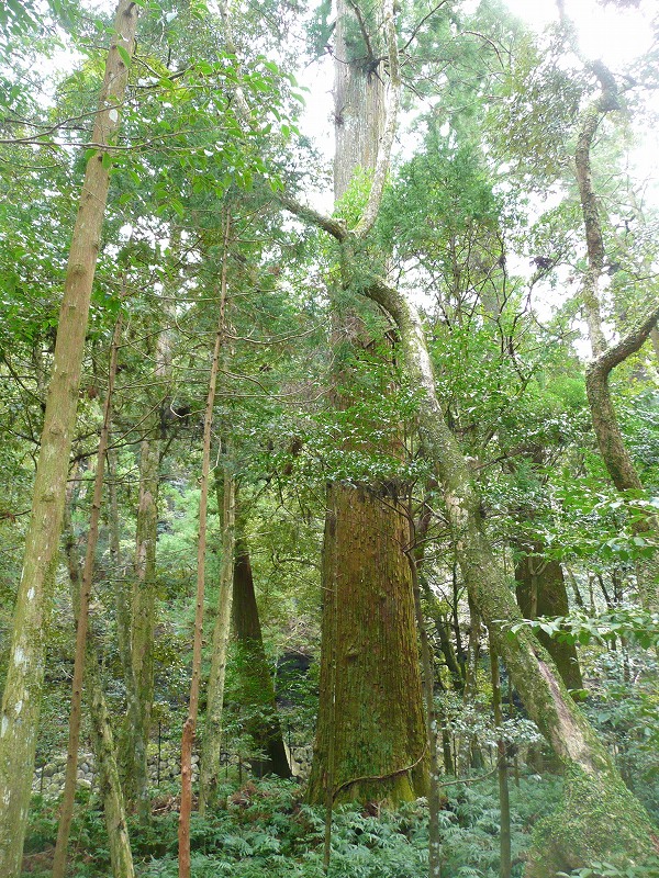 伊勢神宮・貴