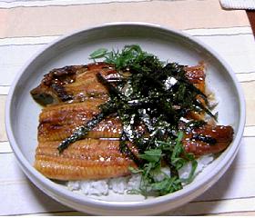 新仔うなぎ２