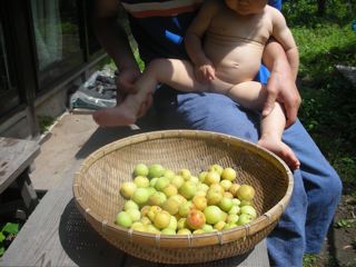 DSCN4400.jpg