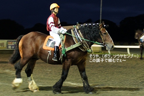 ばんえい十勝・ソウヤセンプー