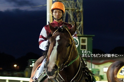 ばんえい十勝・ソウヤセンプー