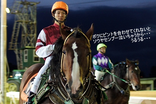 ばんえい十勝・ソウヤセンプー