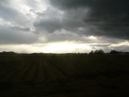 一天にわかに掻き曇り・・・