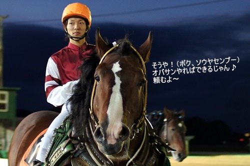 ばんえい十勝・ソウヤセンプー