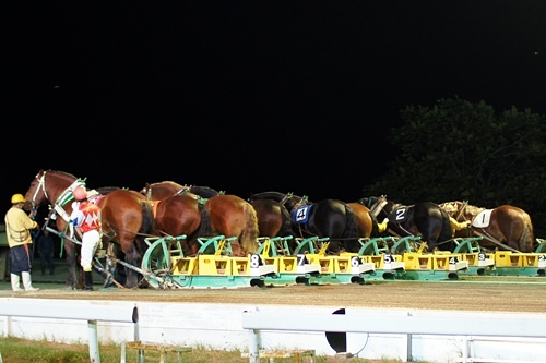 がんばった後ろ姿