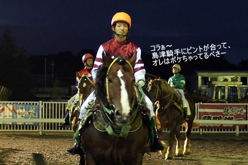 ばんえい十勝・ソウヤセンプー