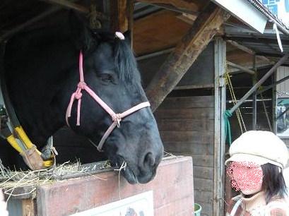 優しく子供を見つめる馬