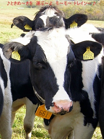 EXILE/Choo Choo TRAIN♪或いは背後霊