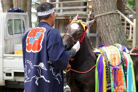 愛馬