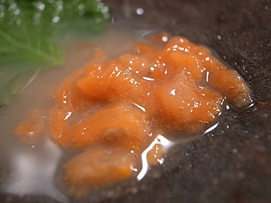 溶けたばくらい