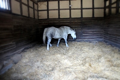 遠野ふるさと村