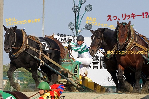 ばんえい帯広競馬場　2010/10/17.6R