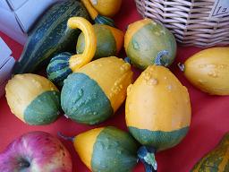 どんぐり南瓜