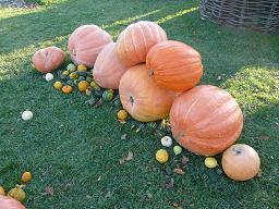 ハロウィンはいつですか？