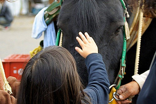 じっと目を見つめる