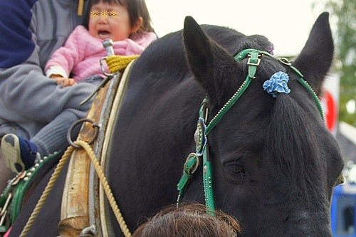 固まるリッキー