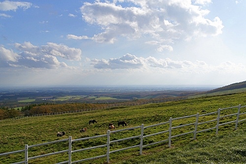 士幌高原ヌプカの里