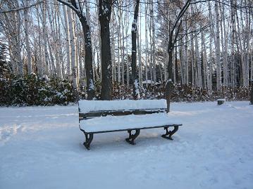 冬のベンチ