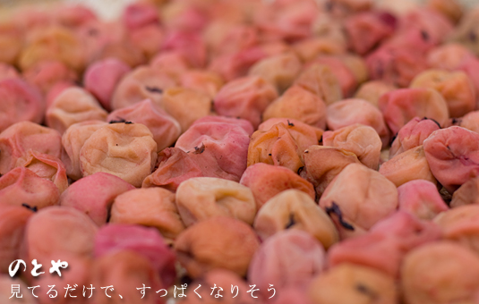 日差しをいっぱいに浴びた梅干