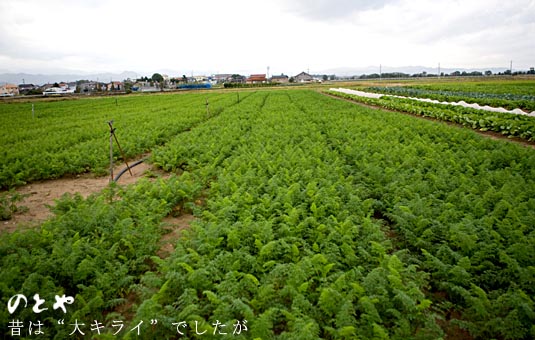 昔は大キライでしたが