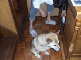 ったく！