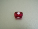 2008_0519紹介0026.JPG