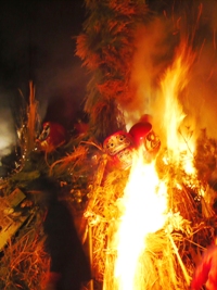 2008 12 12 sankuro-.jpg