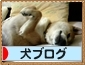 日本ブログ村犬ブログ