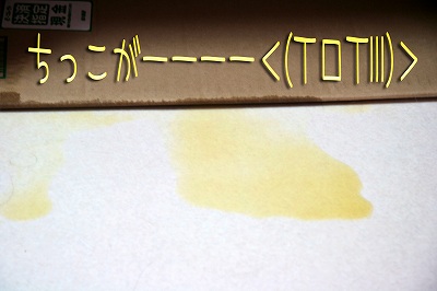 ちっこがーーー！！