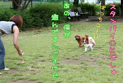 スタンバイOKでしゅ！　あの…僕が遊んでるんですけど…