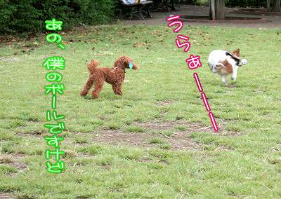 うらぁーーー！　あの、僕のボールですけど…