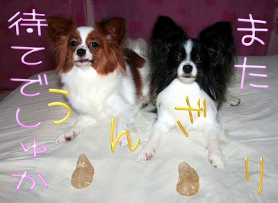 また、待てでしゅか