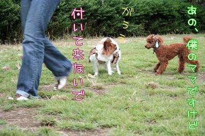 付いて来ないで！　あの、僕のママですけど…