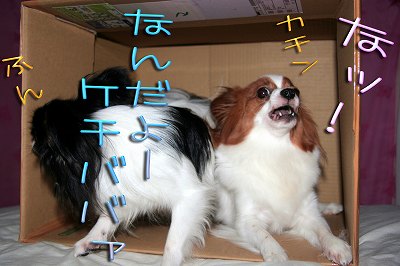 なんだょ!ケチババア なッ!