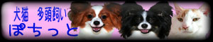 応援ありがとー♪犬猫 多頭飼いへ