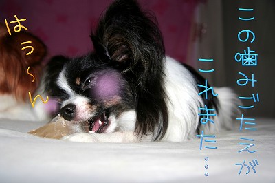 この噛み応えがこれまた…