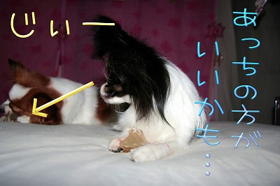 あっちの方が、いいかも…　じぃーーー