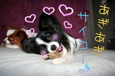 あぎあぎ!サイコー!