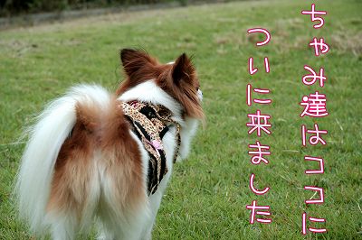 ちゃみ達はココに、ついに来ました!