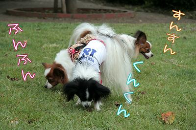 くんくん ふんふん すんすん