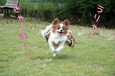 うりゃ～！　きゃっほ～ぃ！