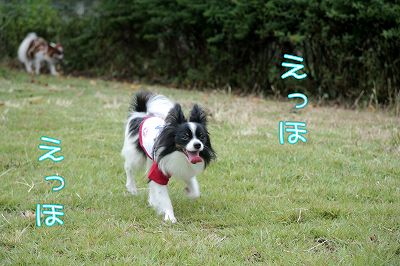 えっほ！えっほ！