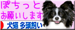 応援ありがとー♪犬猫 多頭飼いへ