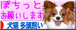応援ありがとー♪犬猫 多頭飼いへ