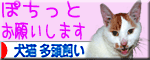 応援ありがとにゃ♪犬猫 多頭飼いにゃ