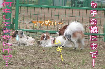 ウチの娘にまでーーー