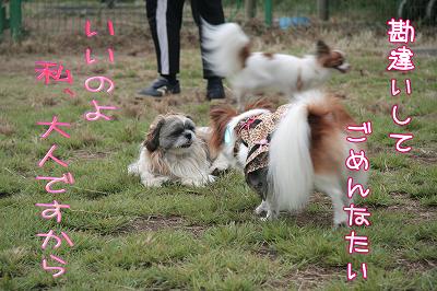 勘違いちて、ごめんなたい