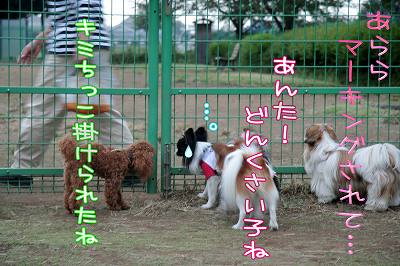 あんた!どんくさい子ね!