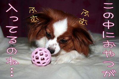 この中に、おやつが入っているのね。