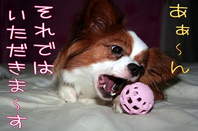 それでは、いただきま~す